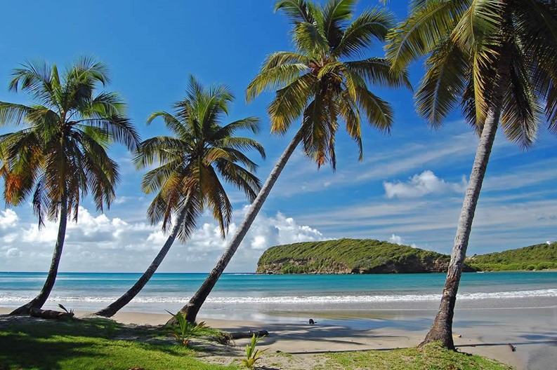 72746194-saint-vincent-and-the-grenadines