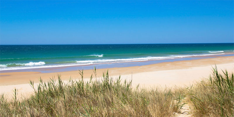 playa-de-yerbabuena-surf-cadiz